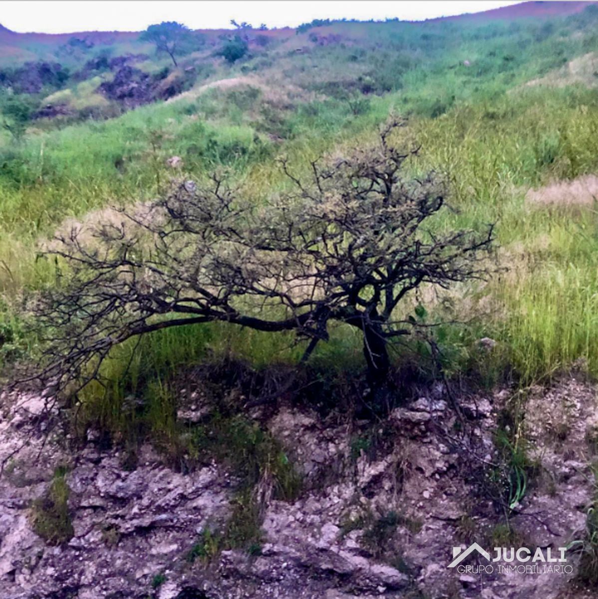 terreno-en-venta-fraccionamiento-rancho-alegre-jocotepec3-19390