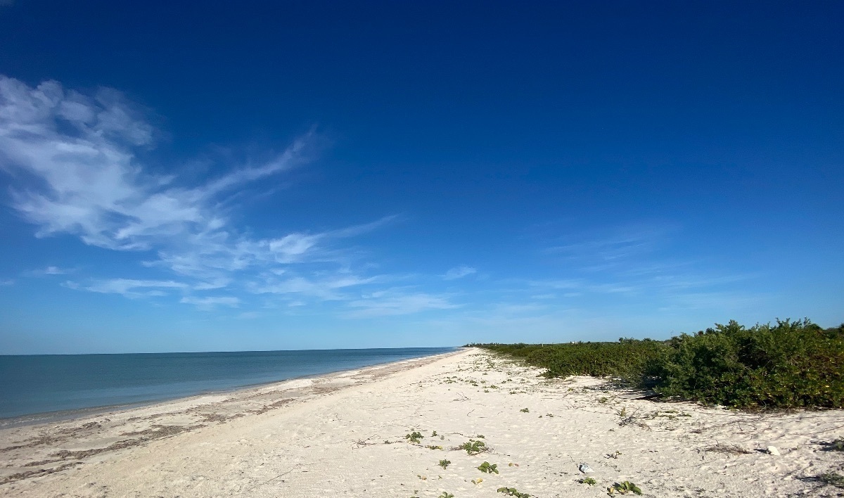 Terreno en Venta Frente al Mar, Sisal, Hunucmá, Yucatán.