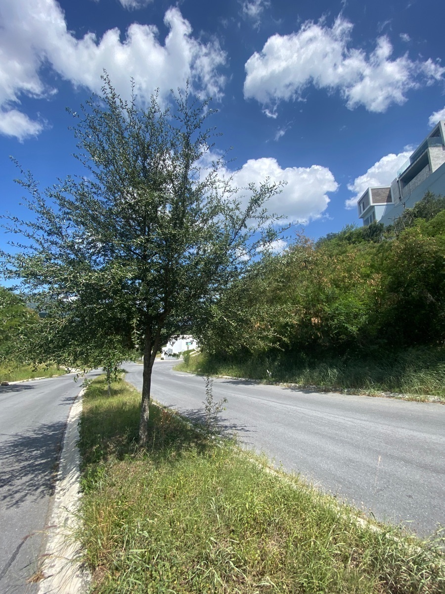 terreno-en-venta-jardines-de-valle-alto-carretera-nacional3-19502