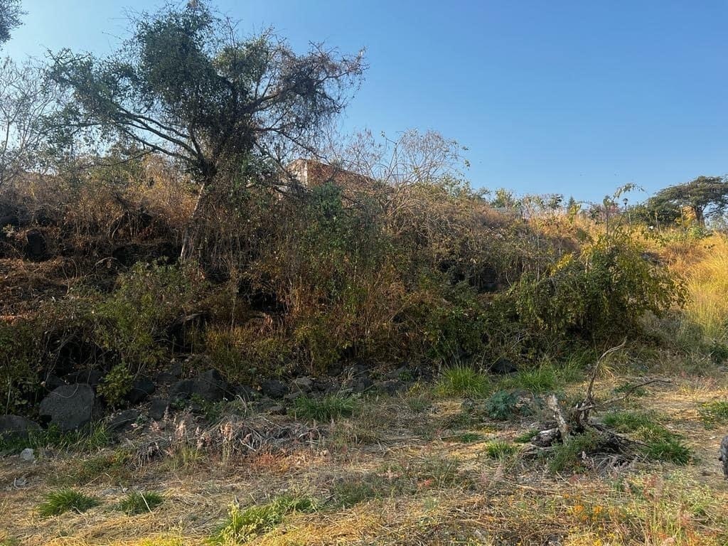 Terreno en venta Lomas de Trujillo Emiliano Zapata Morelos