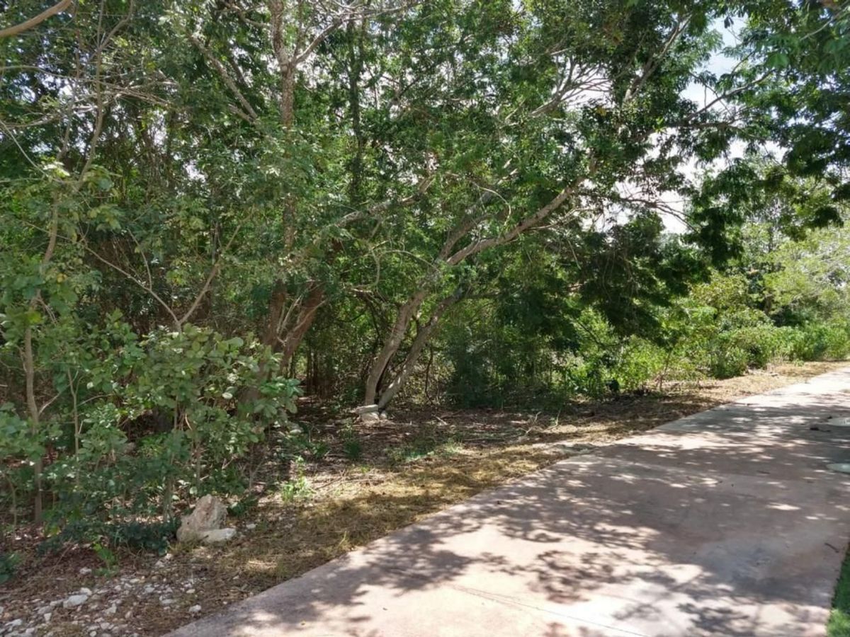 terreno-en-venta-merida-paseo-del-jaguar-yucatan-country-club3-26501