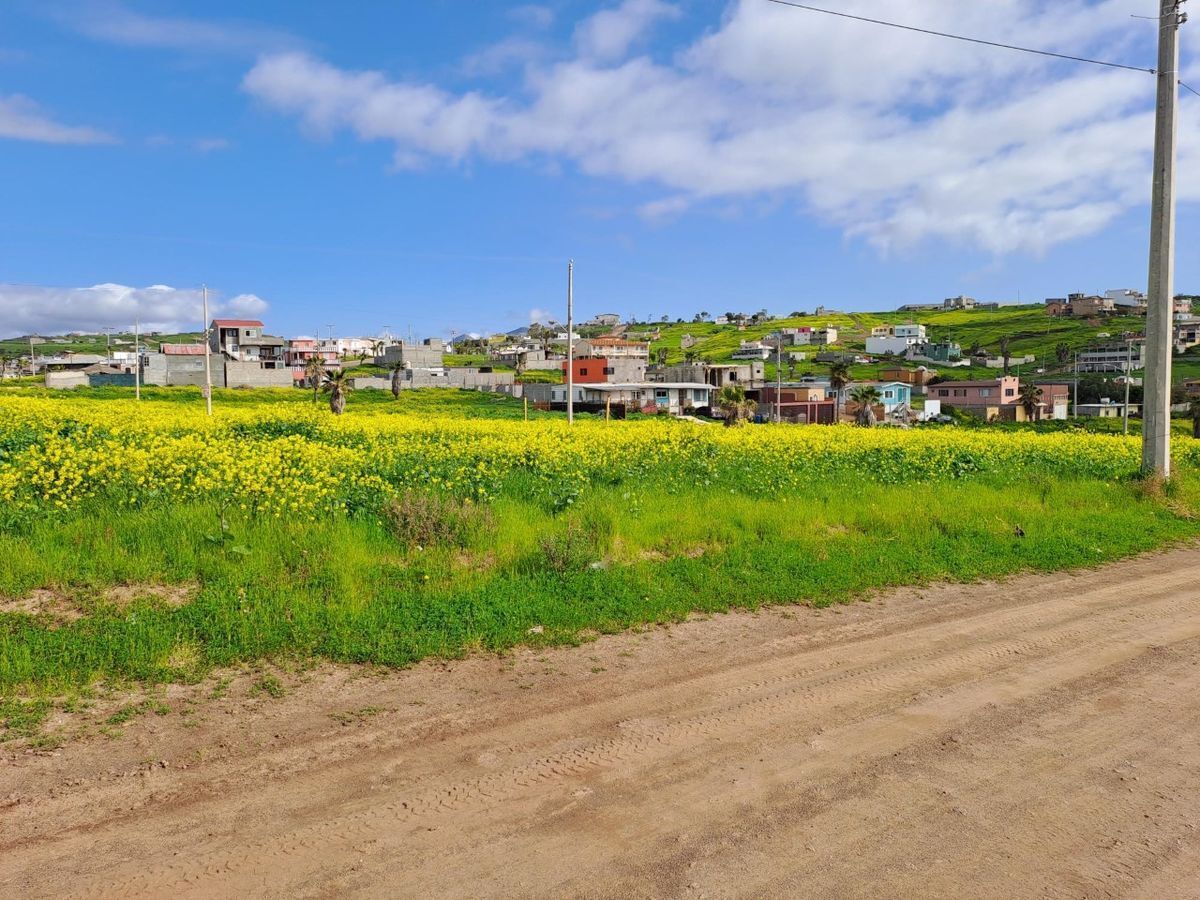 Terreno en Venta Rosarito en Fraccionamiento