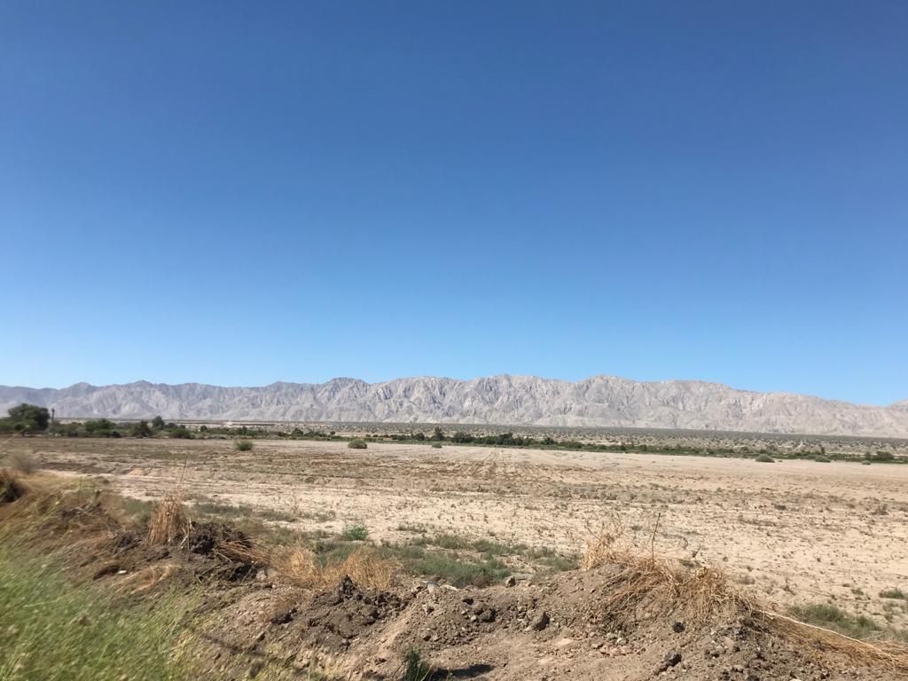 terreno-en-venta-sobre-carretera-a-san-felipe-20-ha--mexicali4-17953