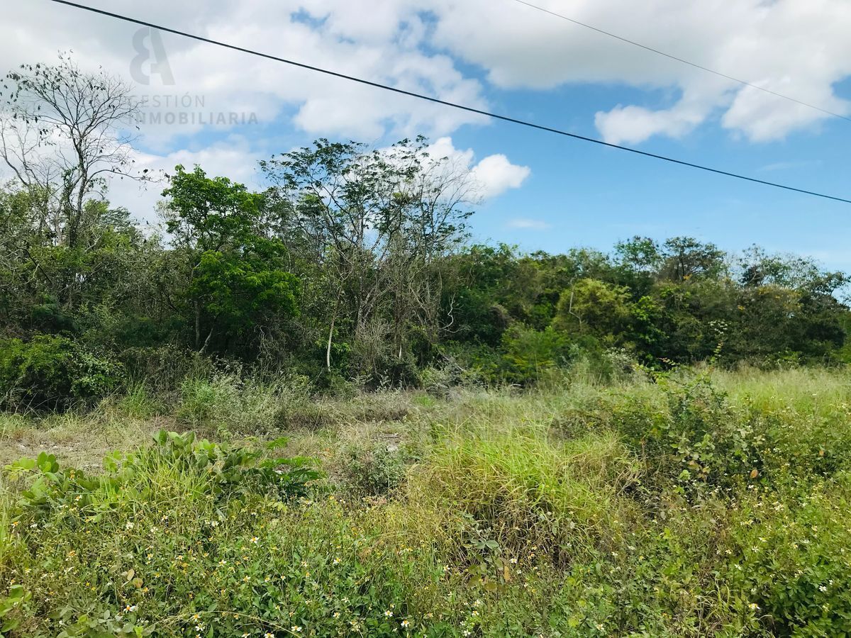 terreno-en-venta-sobre-carretera-mridaprogreso-ctv1623-37894