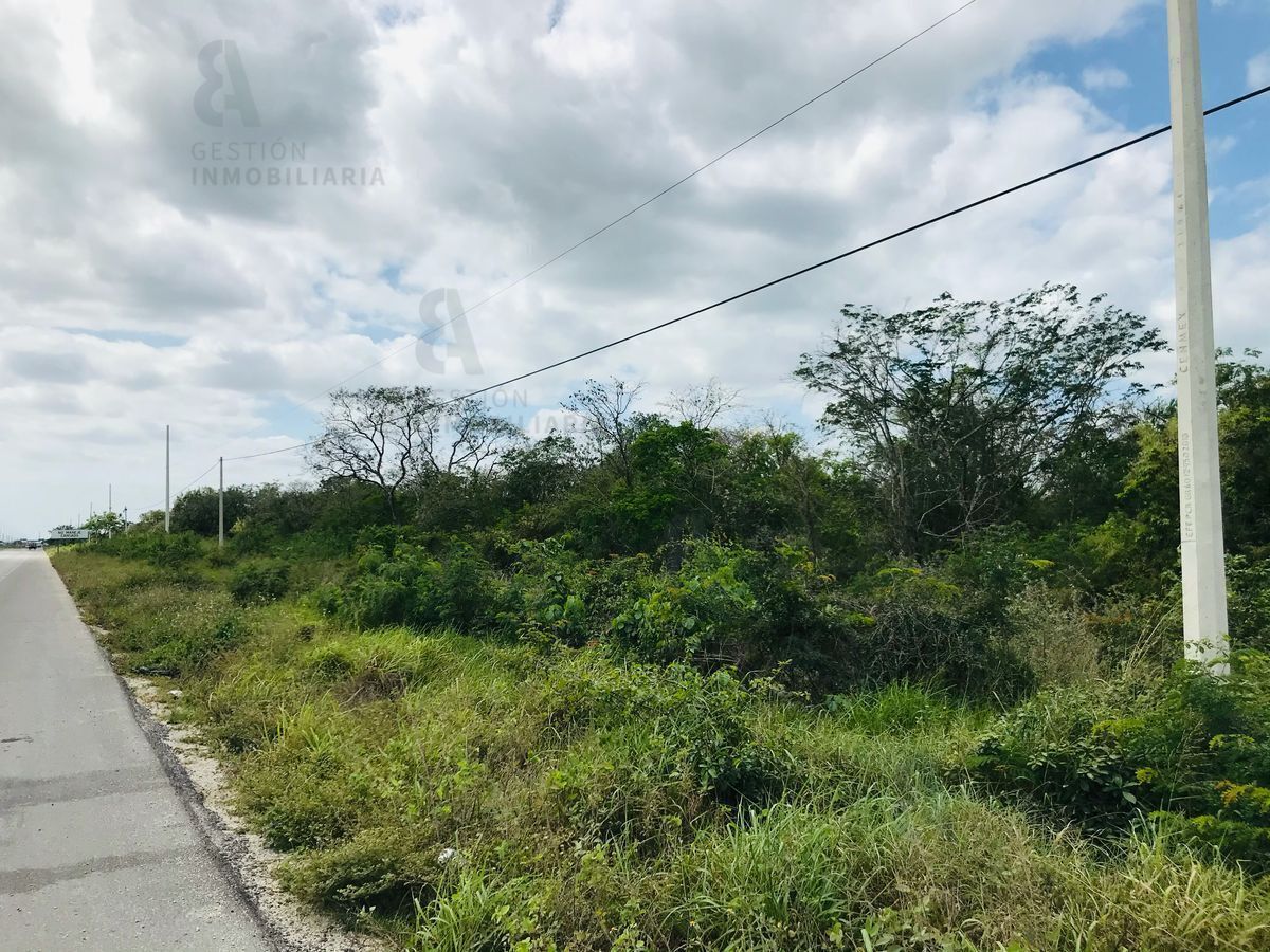 terreno-en-venta-sobre-carretera-mridaprogreso-ctv1624-37894