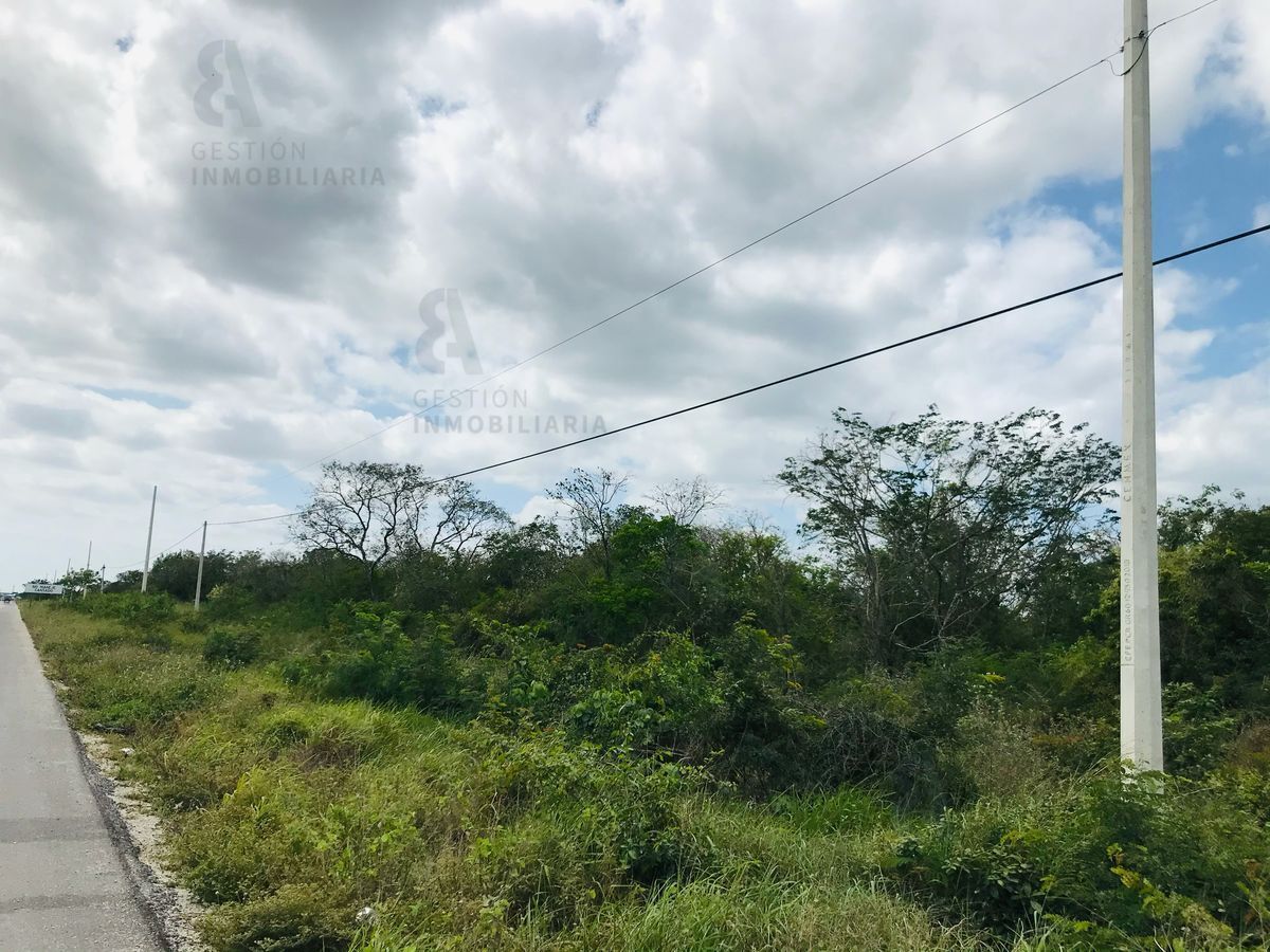 terreno-en-venta-sobre-carretera-mridaprogreso-ctv1625-37894