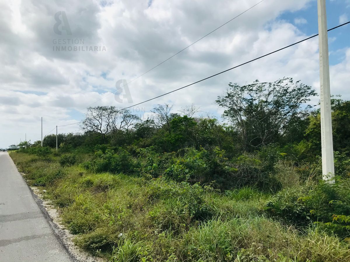 terreno-en-venta-sobre-carretera-mridaprogreso-ctv1626-37894