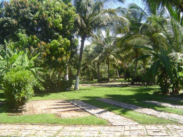 terreno-en-venta-sobre-prisciliano-snchez-puerto-vallarta26-26329