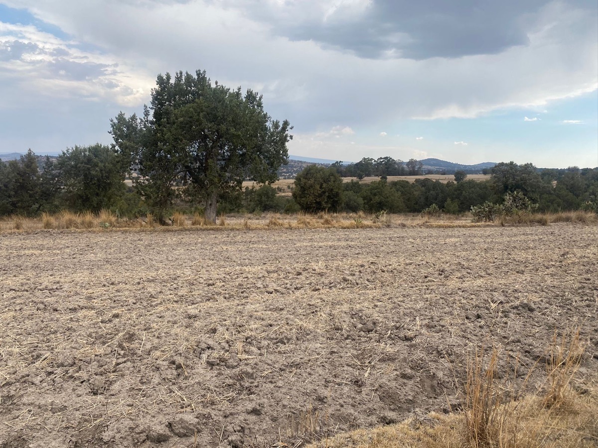 TERRENO EN VENTA TLAXCALA