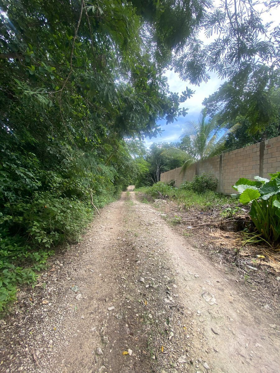 Terreno en venta Tulum Mexico