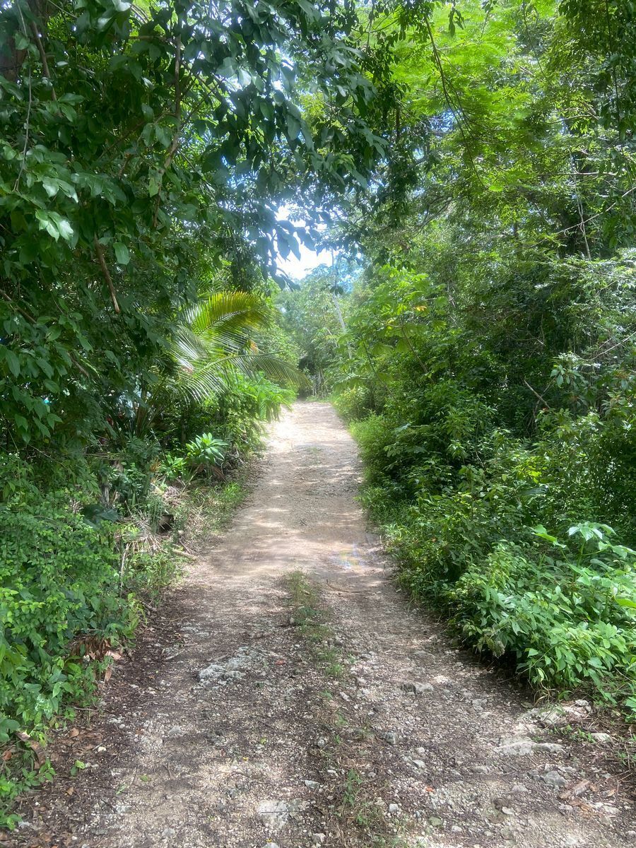 terreno-en-venta-tulum-mexico15-19858