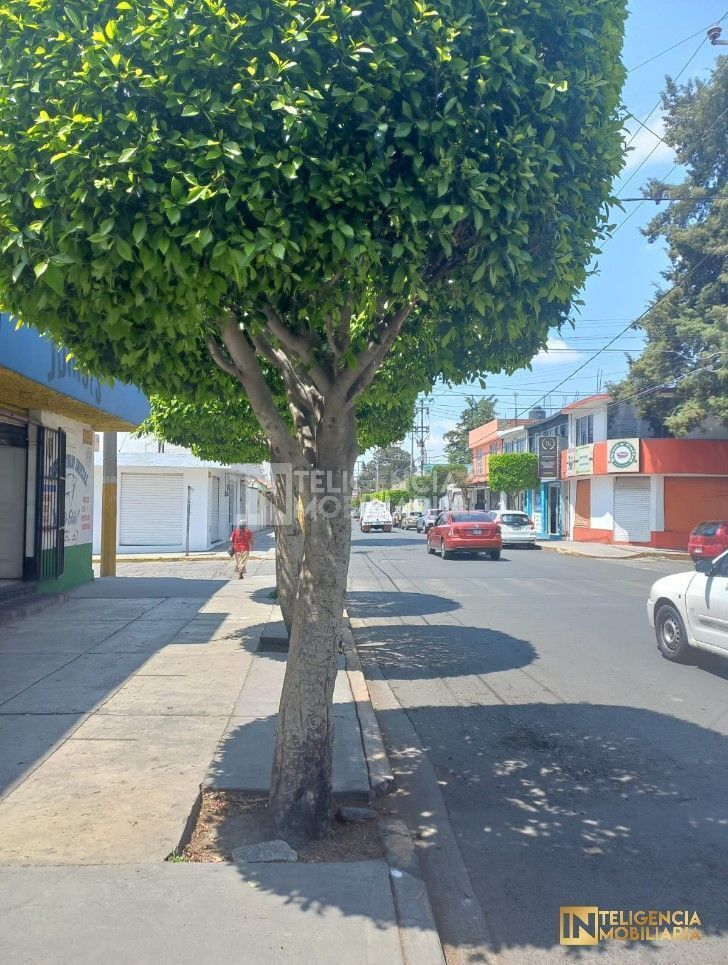 terreno-en-venta-ubicado-en-calle-allende-texcoco7-31985