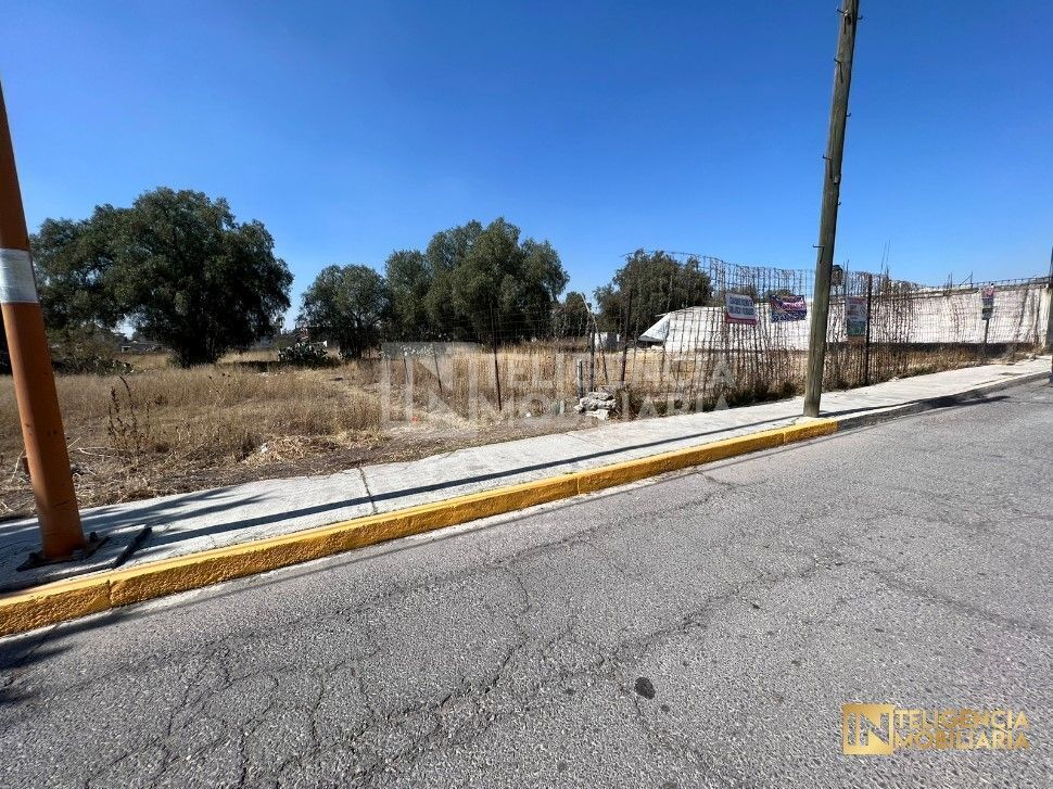 terreno-en-venta-ubicado-en-chiautla-a-unos-pasos-de-av-principal1-13981