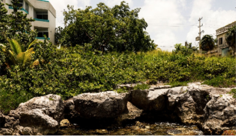 terreno-en-zona-hotelera-norte-cozumel2-7706