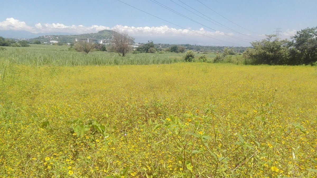 TERRENO EXCELENTE UBICACIÓN IDEAL PARA DESARROLLAR, INVERTIR