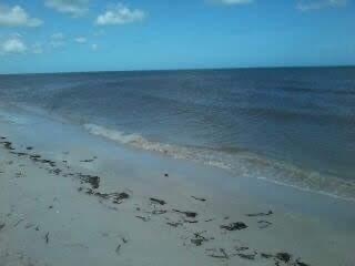 Terreno Frente al Mar en Dzilam de Bravo …