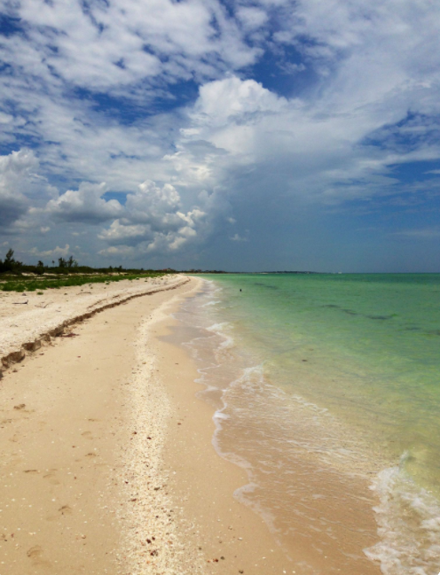 terreno-frente-al-mar-en-sisal-yucatn22-19856