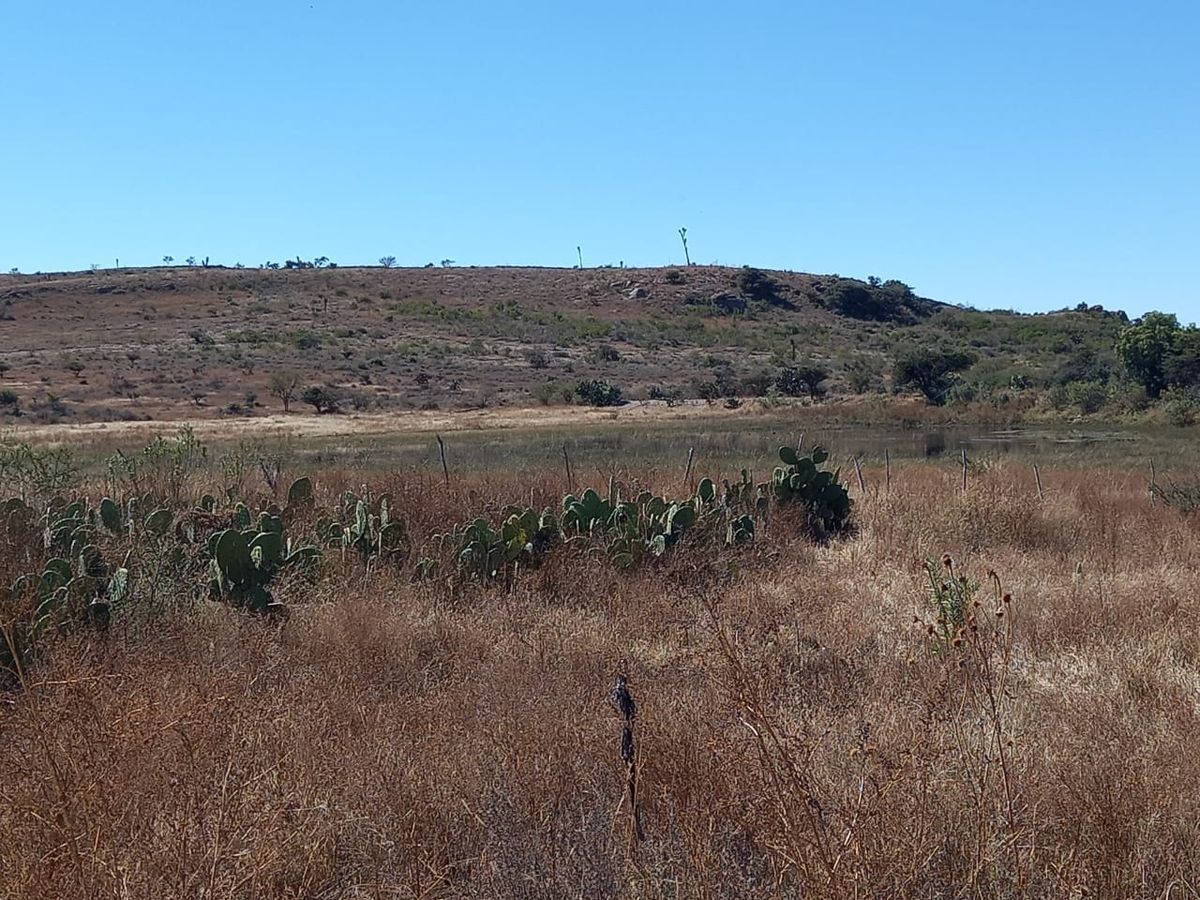 Terreno ideal para siembra de agave