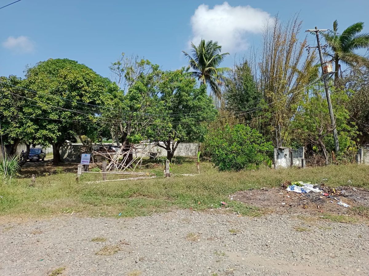 TERRENO, PASO DEL TORO-ALVARADO