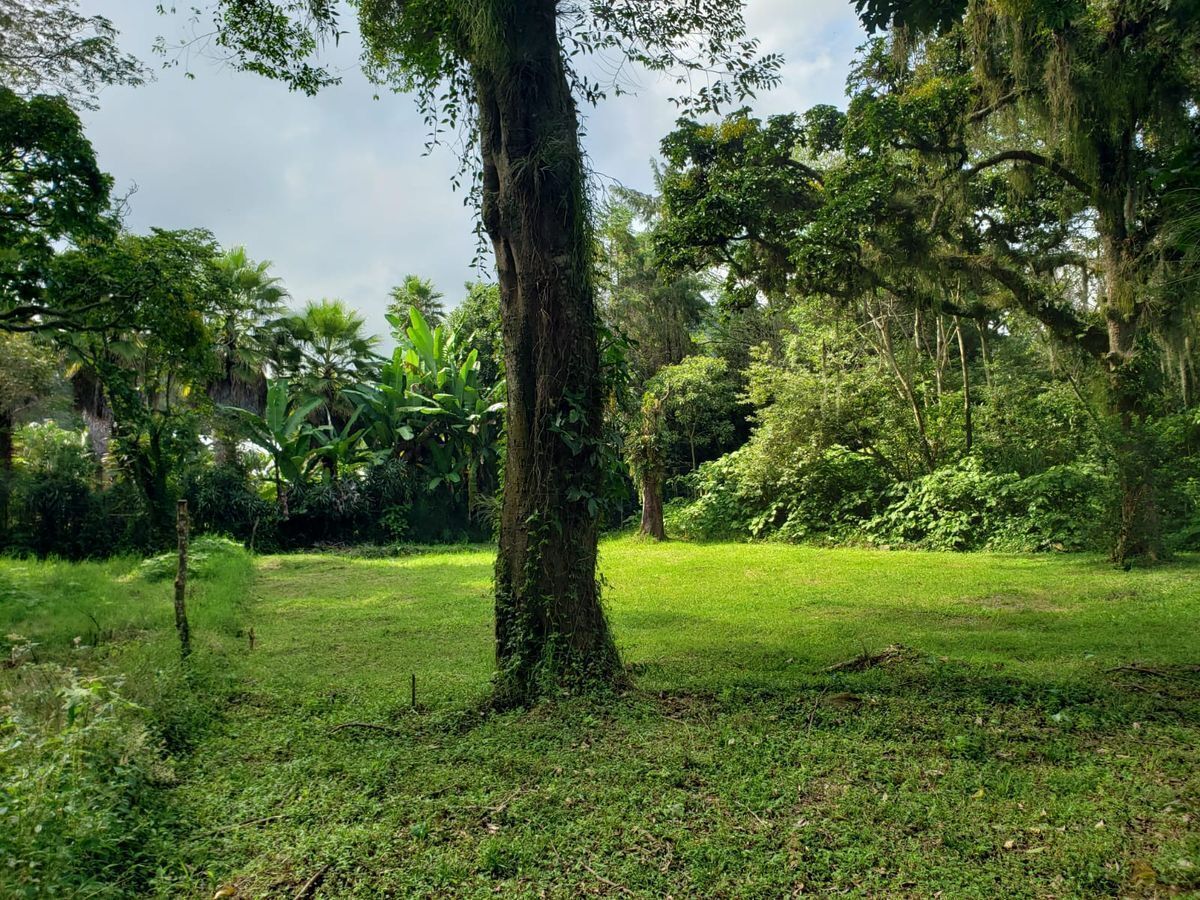 Terreno plano escriturado, 869 mts2, Carretera Vieja Xalapa-Coatepec