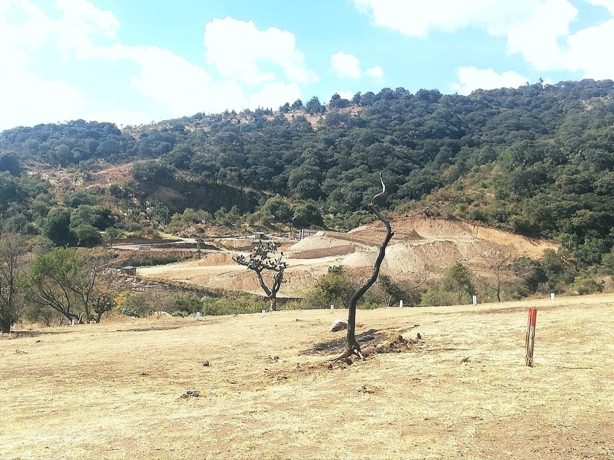 Terreno Rancho Blanco