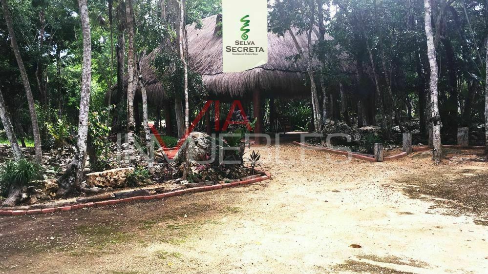 terreno-residencial-en-venta-en-tulum-tulum-quintana-roo11-31057