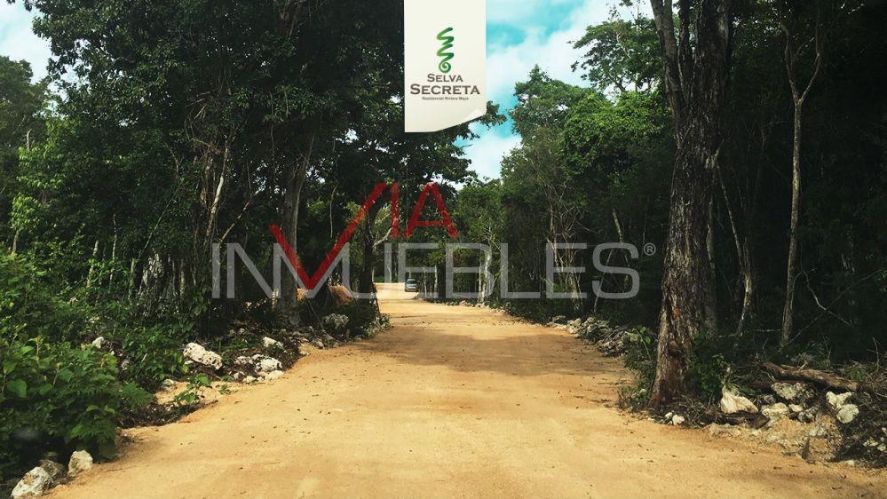 terreno-residencial-en-venta-en-tulum-tulum-quintana-roo2-31057