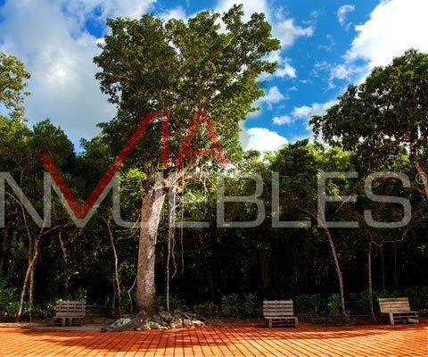 terreno-residencial-en-venta-en-tulum-tulum-quintana-roo2-31060