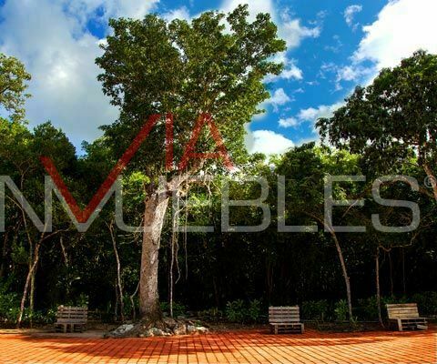 terreno-residencial-en-venta-en-tulum-tulum-quintana-roo9-31060