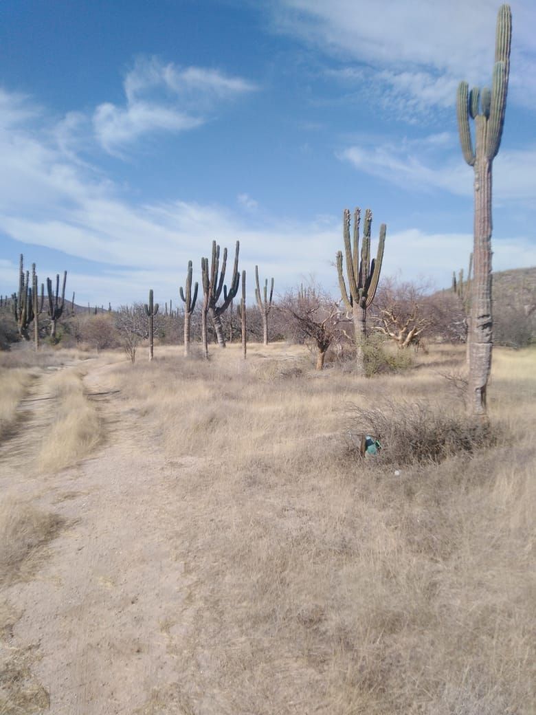 Terreno Rustico en venta salida a Los Planes