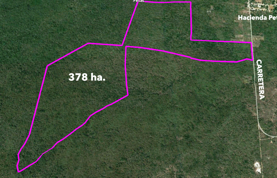 TERRENO/LOTE VENTA EN MÉRIDA, SAN ANTONIO TZACALÁ DE 378 HECTÁREAS, ENTREGA INM.