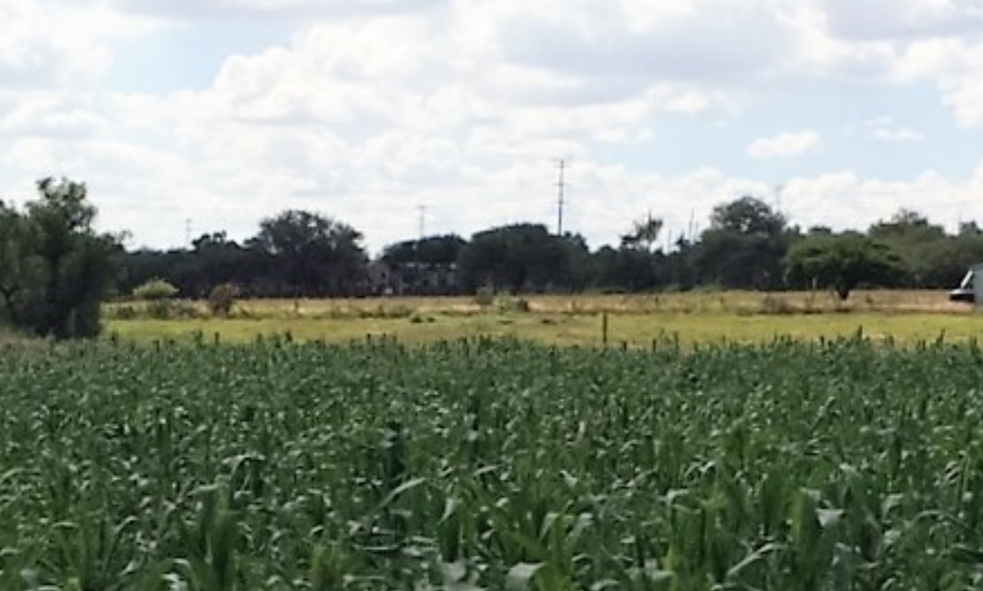 Terrenos  agua y luz en Venta, Col. Palmita de Landeta en San Miguel de Allende