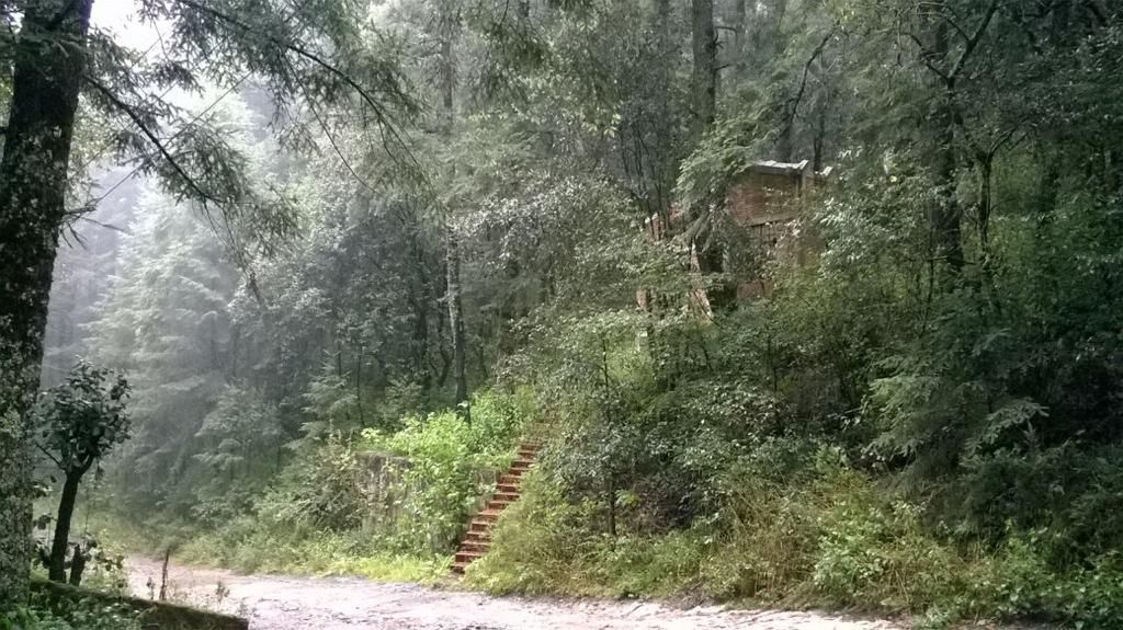 terrenos-en-bosques-de-san-cayetano-mineral-del-monte-hidalgo12-20195