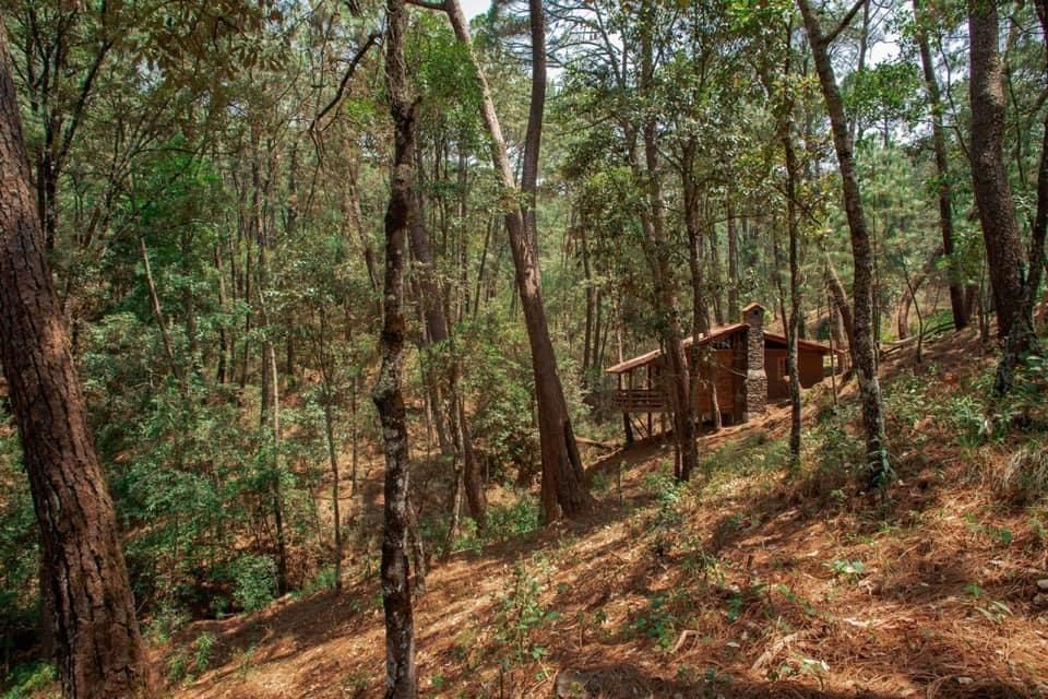 terrenos-en-bosques-de-san-cayetano-mineral-del-monte-hidalgo19-20195