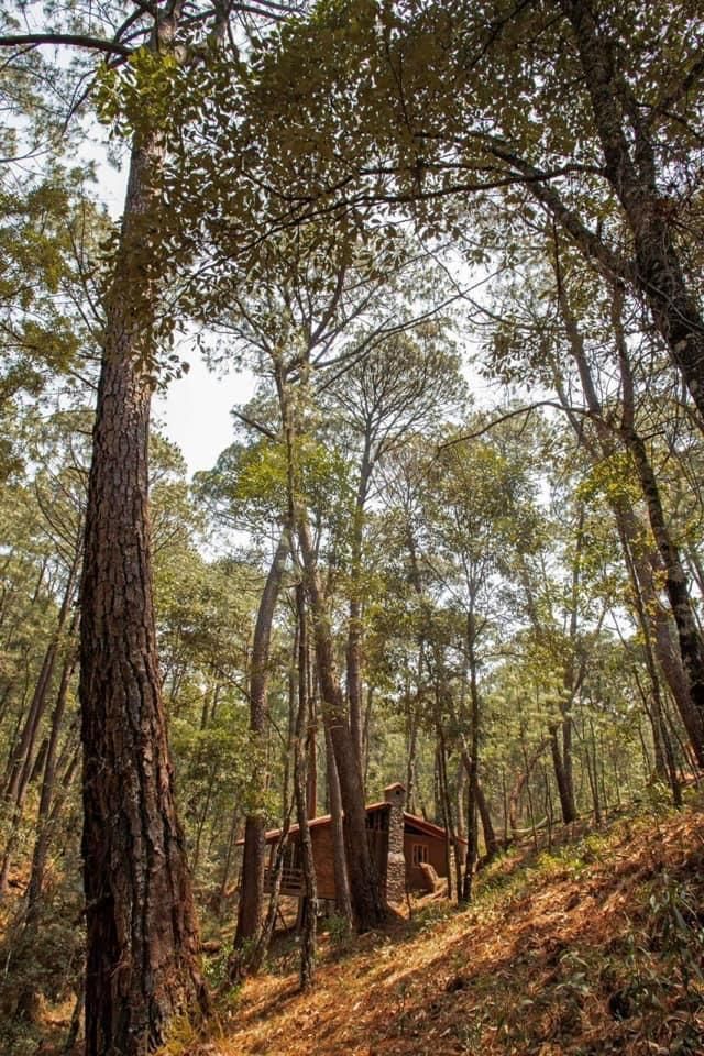 terrenos-en-bosques-de-san-cayetano-mineral-del-monte-hidalgo20-20195