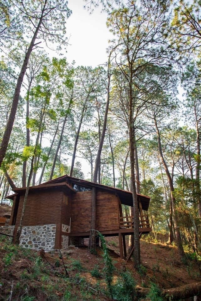 terrenos-en-bosques-de-san-cayetano-mineral-del-monte-hidalgo33-20195