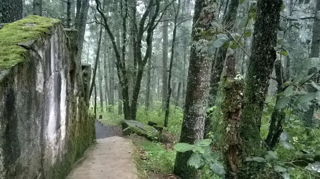 terrenos-en-bosques-de-san-cayetano-mineral-del-monte-hidalgo5-20195