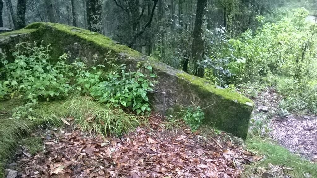 terrenos-en-bosques-de-san-cayetano-mineral-del-monte-hidalgo6-20195