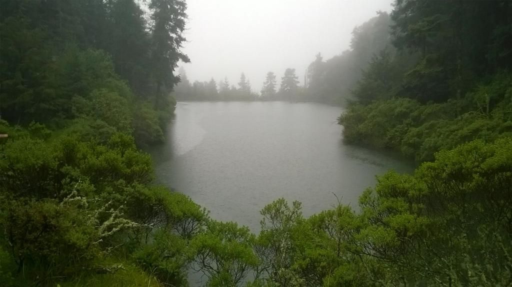 terrenos-en-bosques-de-san-cayetano-mineral-del-monte-hidalgo7-20195