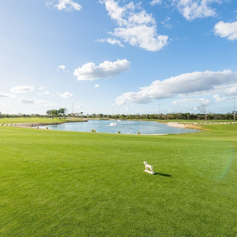 Terrenos en venta  Privada Provincia con  campo de Golf en Merida