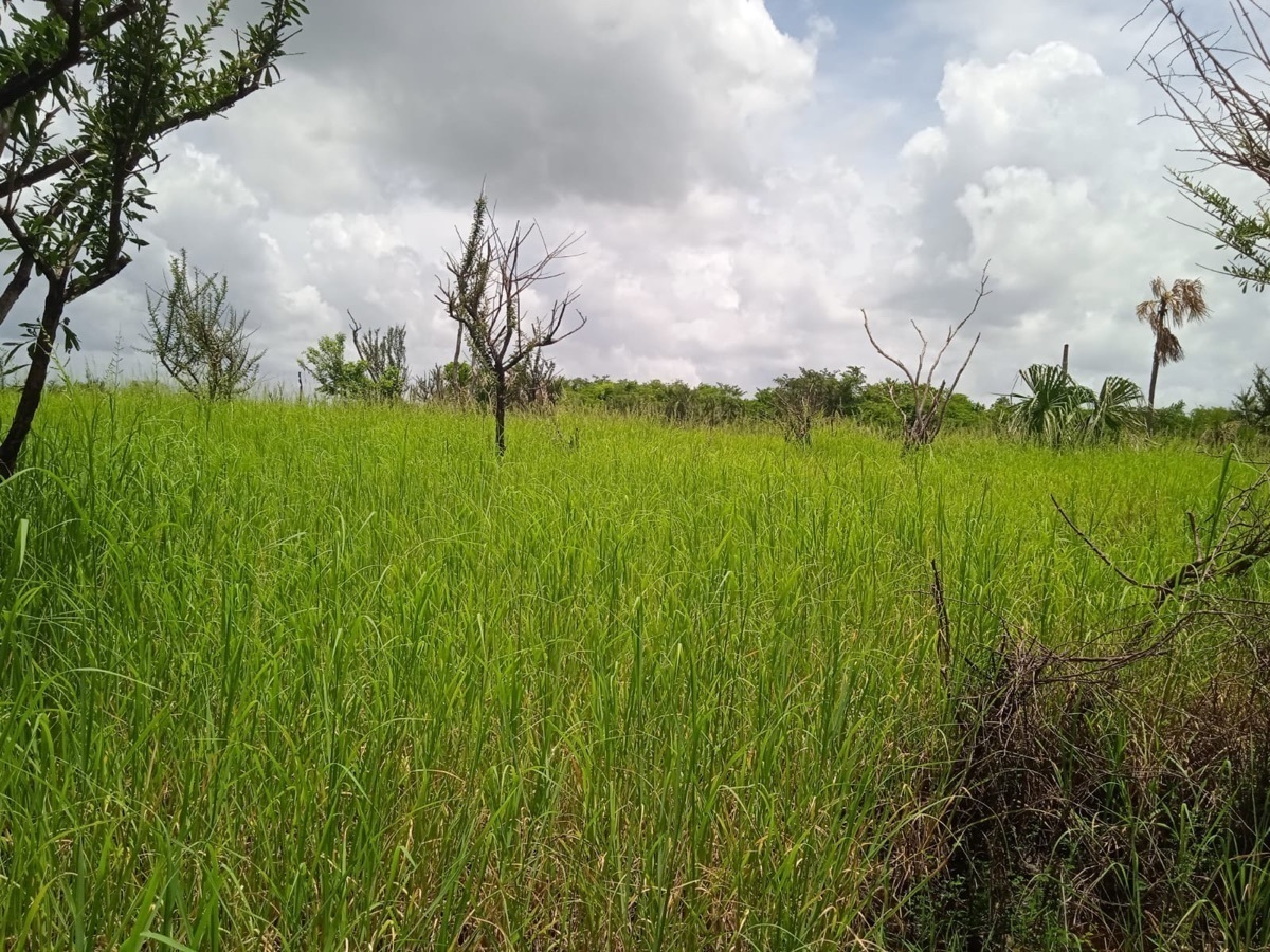 terrenos-en-venta-en-la-cristalina-carmen-campeche-belleza-natural12-18908