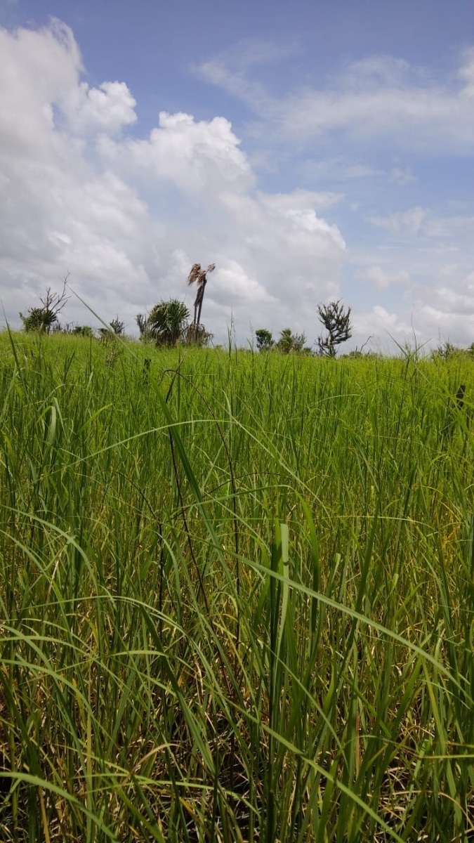 terrenos-en-venta-en-la-cristalina-carmen-campeche-belleza-natural13-12329