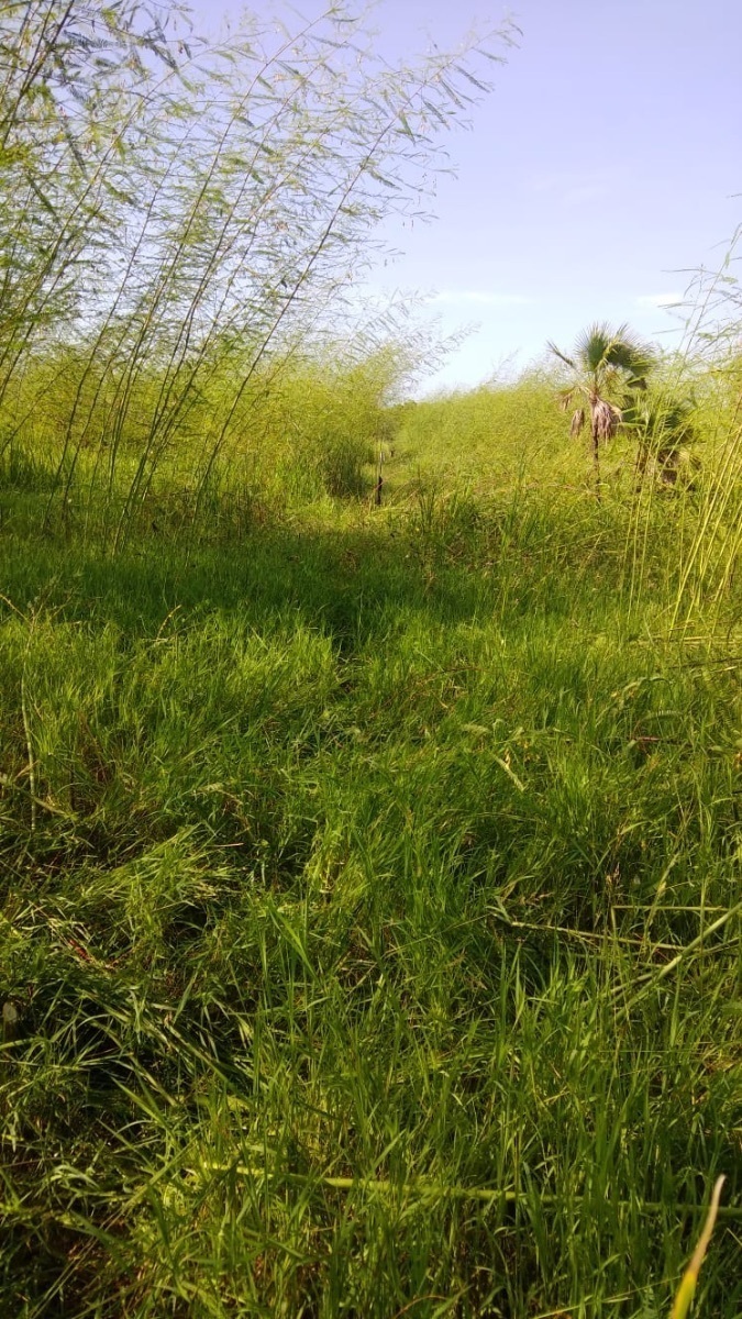 terrenos-en-venta-en-la-cristalina-carmen-campeche-belleza-natural15-18908