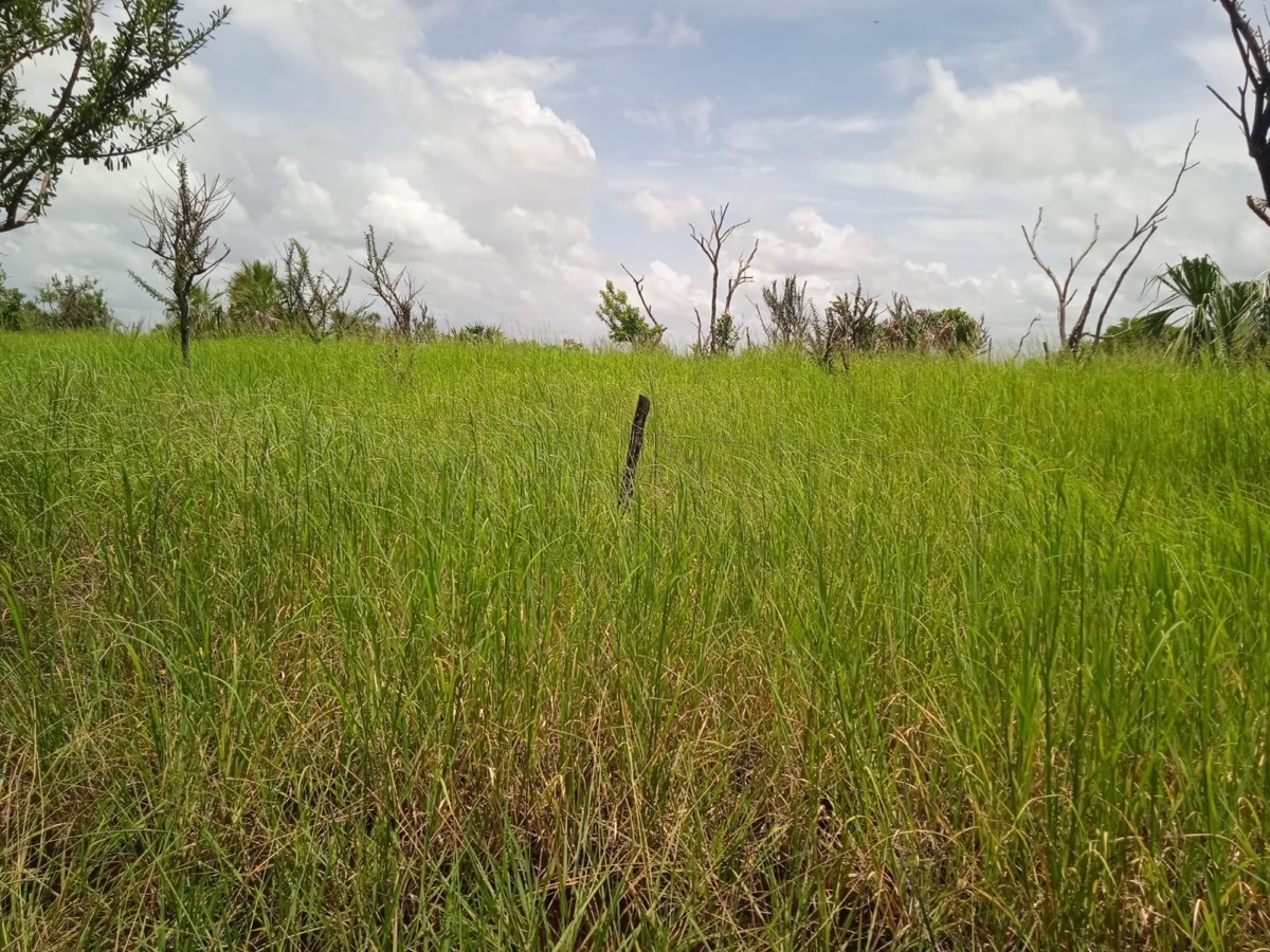 terrenos-en-venta-en-la-cristalina-carmen-campeche-belleza-natural19-12329