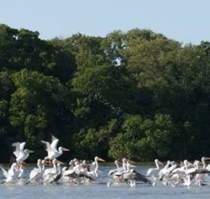 terrenos-en-venta-en-la-cristalina-carmen-campeche-belleza-natural3-12329