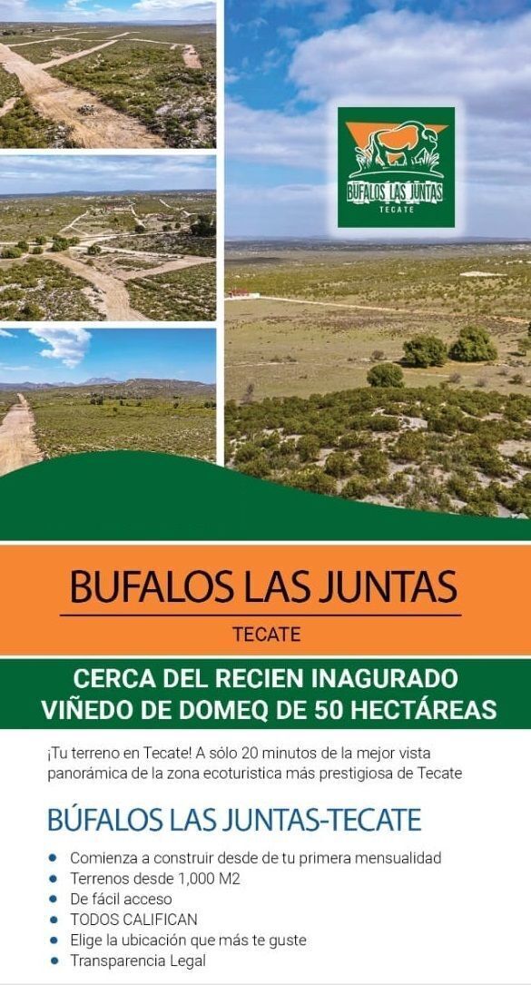 TERRENOS RUSTICOS MAGICOS EN BÚFALOS LAS JUNTAS-TECATE