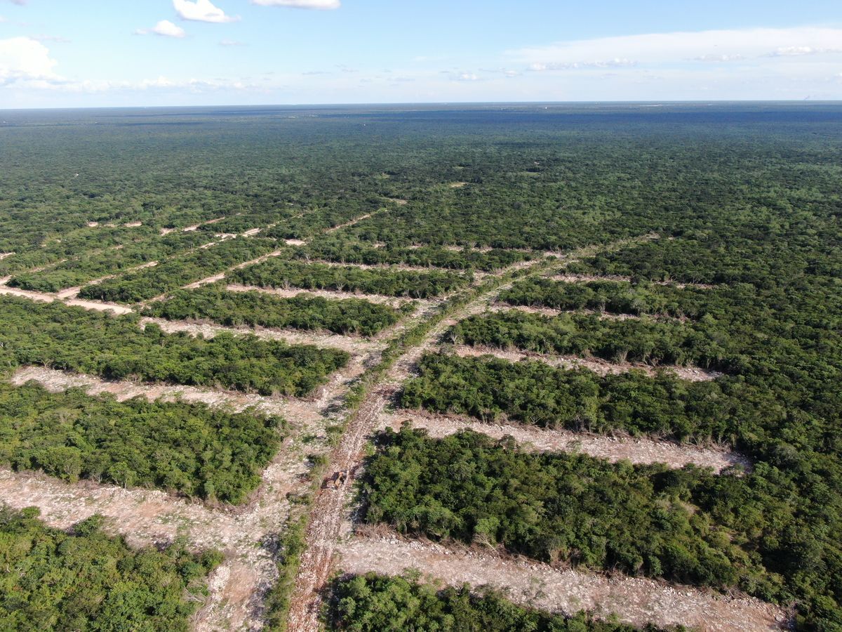 terrenos-urbanizados-y-semi-urbanizados-en-venta-merida-yucatan-chicxulub10-26520