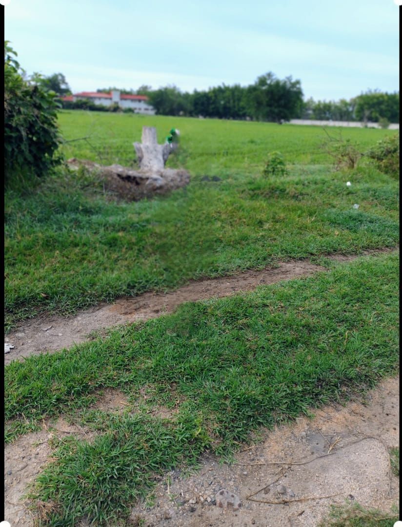 ¡¡¡VENDO 500 M2 DE TERRENO A UN COSTADO DE ESCUELA ESEF CUAUTLA MORELOS!!!