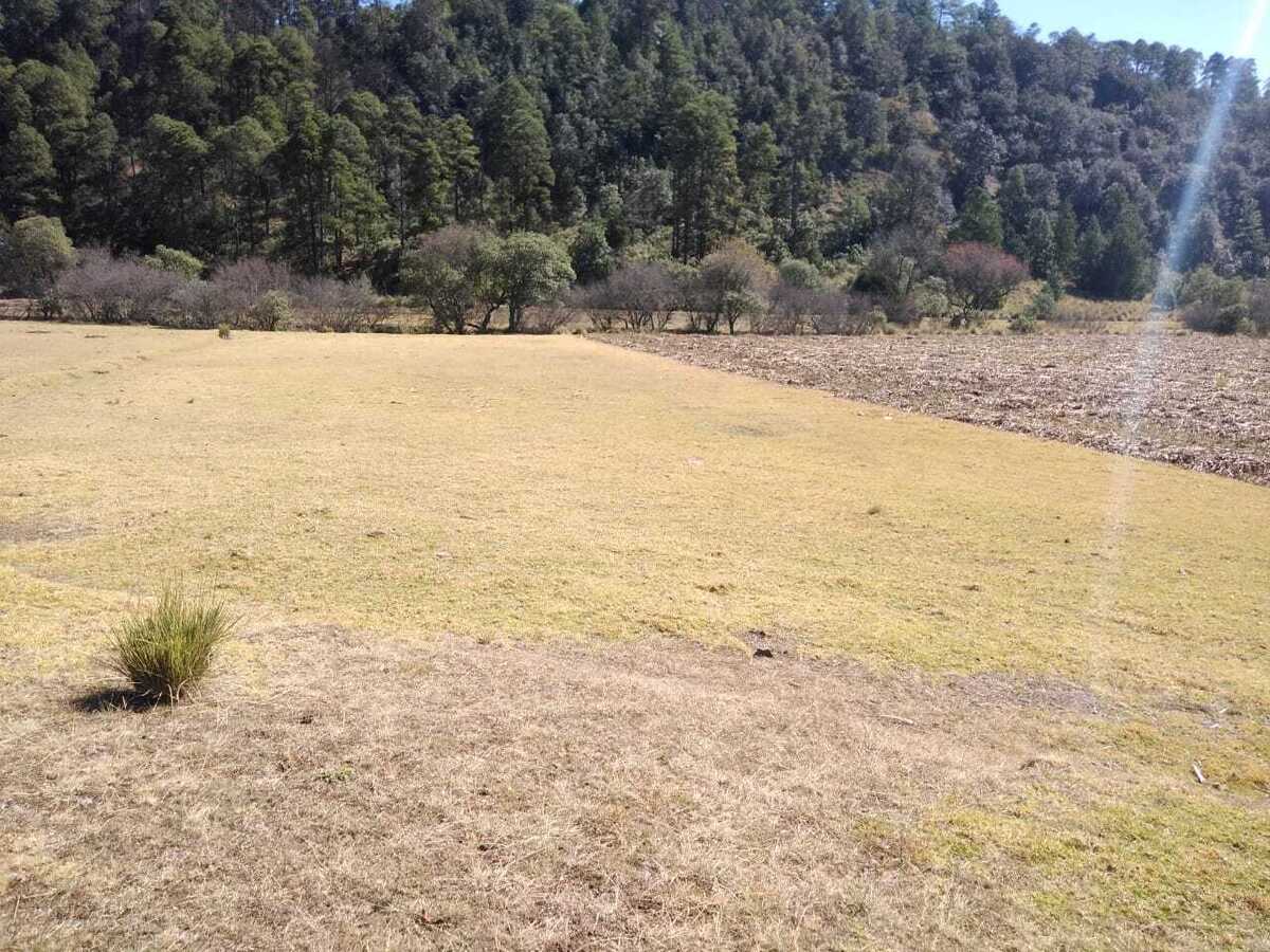 VENDO TERRENO EN MONTE DE PEÑA VILLA DEL CARBÓN