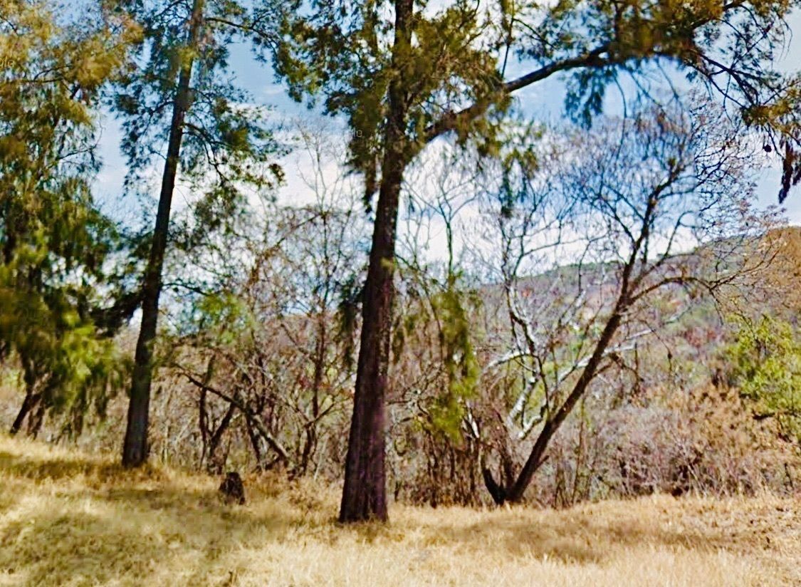 vendo-terreno-en-rancho-san-diego-ixtapan-de-la-sal4-18928